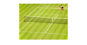 wimbledon and AI, How does AI work at Wimbledon and in Sport
